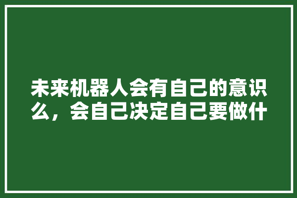 未来机器人会有自己的意识么，会自己决定自己要做什么吗,人工智能奇才
