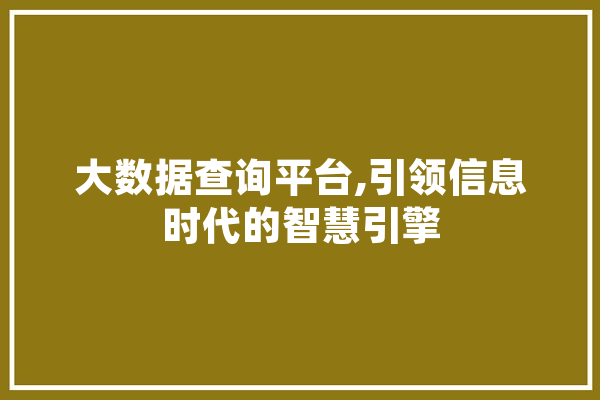 大数据查询平台,引领信息时代的智慧引擎 文字写作