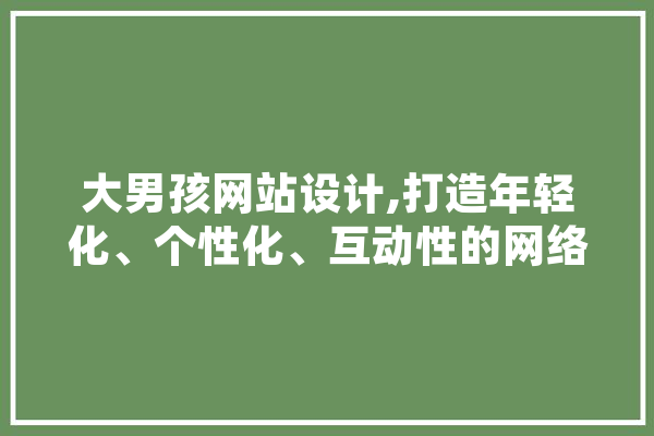 大男孩网站设计,打造年轻化、个性化、互动性的网络空间