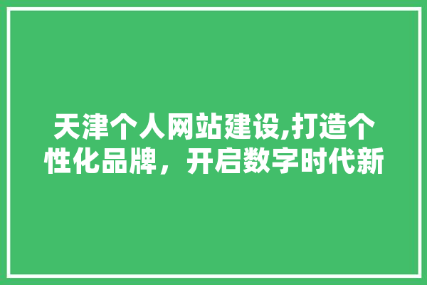 天津个人网站建设,打造个性化品牌，开启数字时代新篇章 智能写作