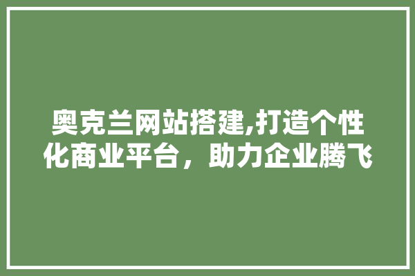 奥克兰网站搭建,打造个性化商业平台，助力企业腾飞 计算机