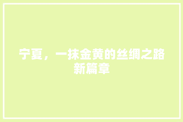 宁夏，一抹金黄的丝绸之路新篇章