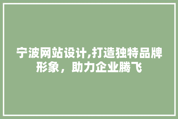 宁波网站设计,打造独特品牌形象，助力企业腾飞 绘影字幕