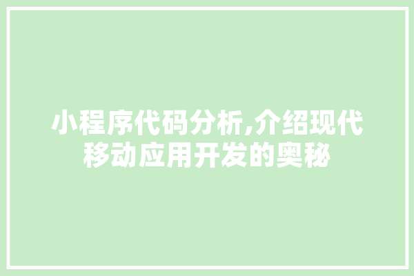 小程序代码分析,介绍现代移动应用开发的奥秘 计算机