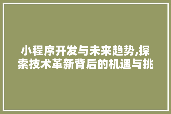 小程序开发与未来趋势,探索技术革新背后的机遇与挑战 绘影字幕