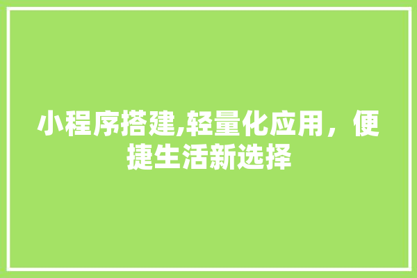 小程序搭建,轻量化应用，便捷生活新选择 绘影字幕