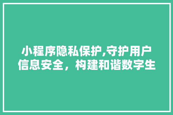 小程序隐私保护,守护用户信息安全，构建和谐数字生态