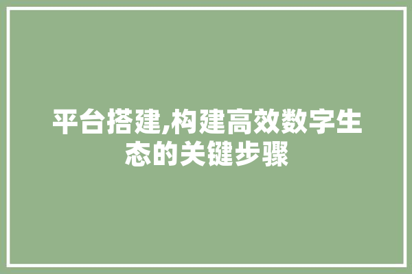平台搭建,构建高效数字生态的关键步骤 AI快讯