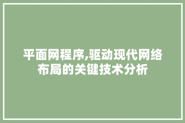 平面网程序,驱动现代网络布局的关键技术分析 计算机