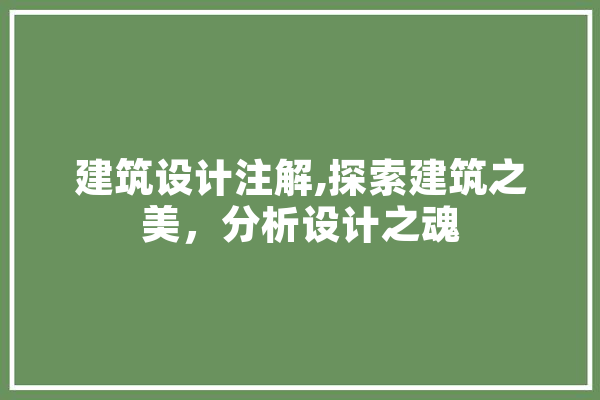 建筑设计注解,探索建筑之美，分析设计之魂