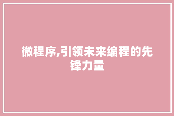 微程序,引领未来编程的先锋力量 AI简讯