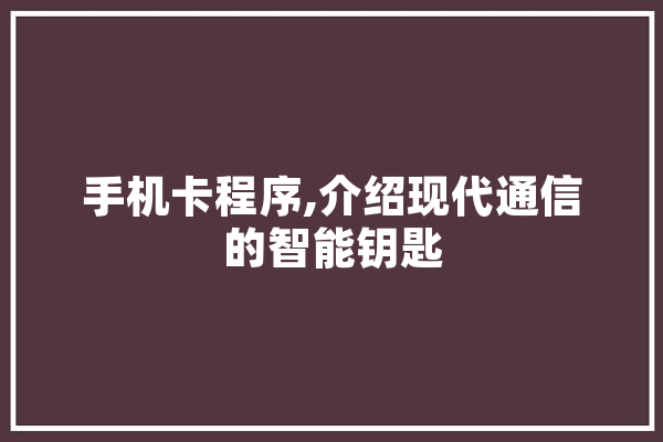 手机卡程序,介绍现代通信的智能钥匙
