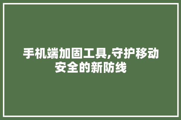 手机端加固工具,守护移动安全的新防线 科技快讯