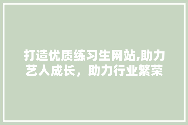 打造优质练习生网站,助力艺人成长，助力行业繁荣 绘影字幕