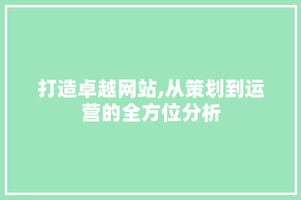 打造卓越网站,从策划到运营的全方位分析 文字写作