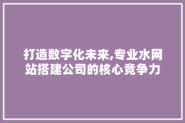 打造数字化未来,专业水网站搭建公司的核心竞争力 文字写作