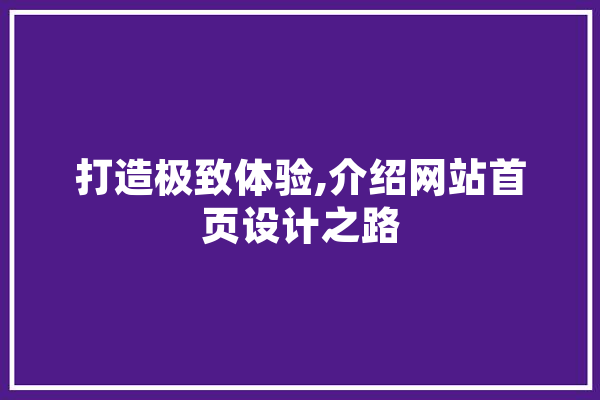 打造极致体验,介绍网站首页设计之路 计算机