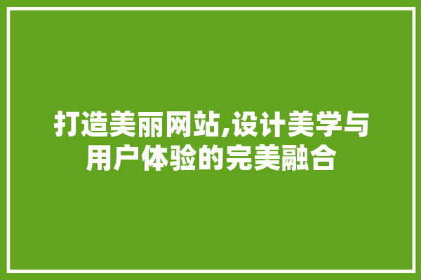 打造美丽网站,设计美学与用户体验的完美融合 绘影字幕