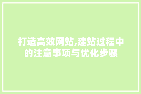 打造高效网站,建站过程中的注意事项与优化步骤 AI快讯