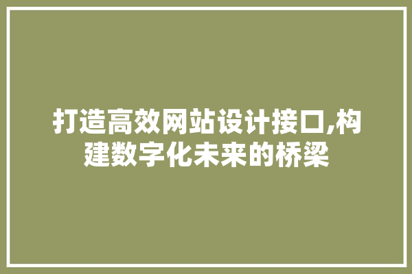 打造高效网站设计接口,构建数字化未来的桥梁 计算机