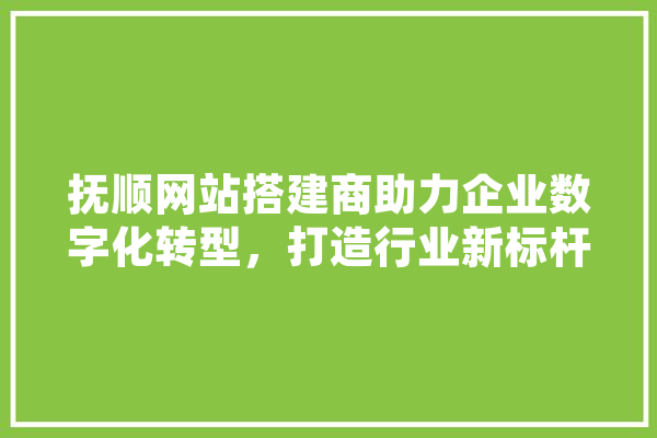 抚顺网站搭建商助力企业数字化转型，打造行业新标杆