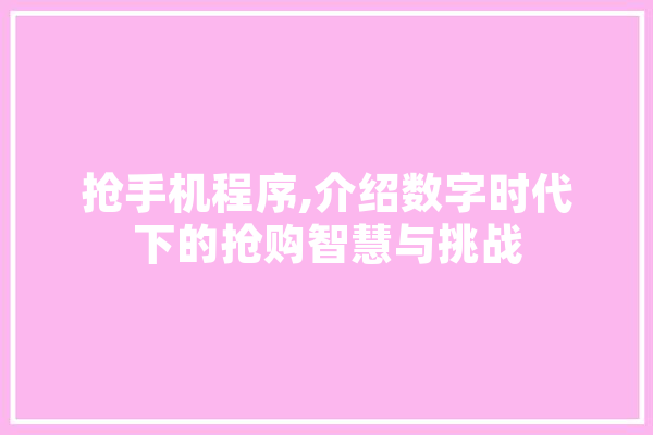 抢手机程序,介绍数字时代下的抢购智慧与挑战 云服务