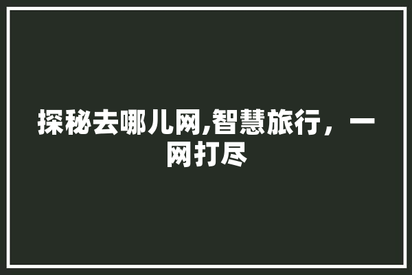 探秘去哪儿网,智慧旅行，一网打尽 AI快讯