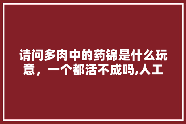 请问多肉中的药锦是什么玩意，一个都活不成吗,人工智能妹子