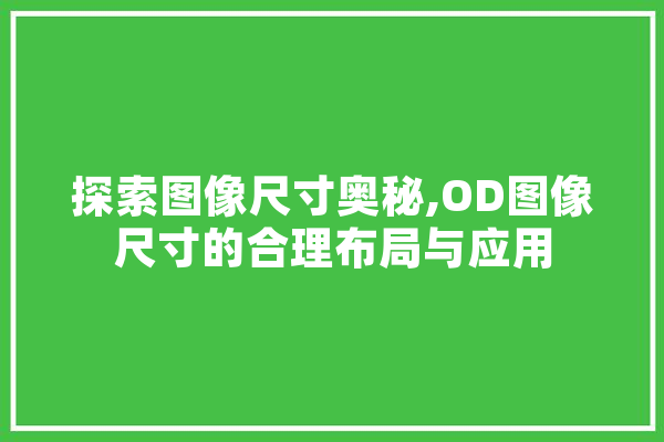 探索图像尺寸奥秘,OD图像尺寸的合理布局与应用
