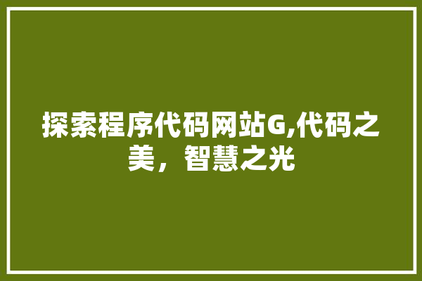 探索程序代码网站G,代码之美，智慧之光 云服务