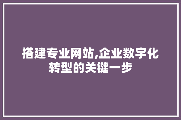 搭建专业网站,企业数字化转型的关键一步 智能写作