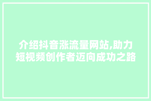 介绍抖音涨流量网站,助力短视频创作者迈向成功之路 AI简讯