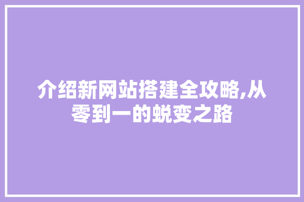 介绍新网站搭建全攻略,从零到一的蜕变之路 计算机