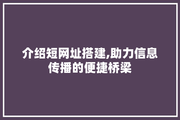 介绍短网址搭建,助力信息传播的便捷桥梁