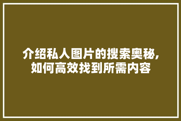 介绍私人图片的搜索奥秘,如何高效找到所需内容 智能助手