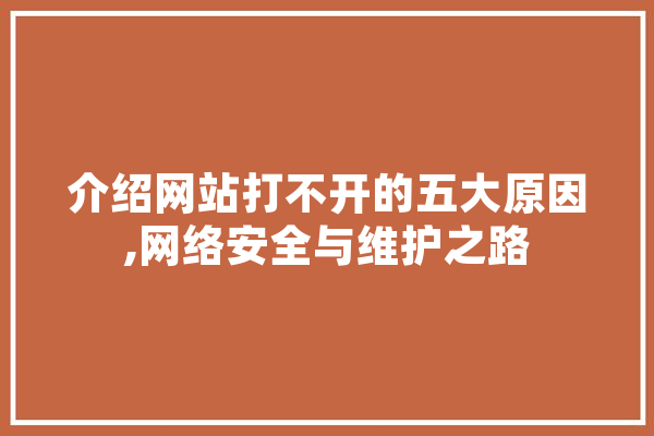 介绍网站打不开的五大原因,网络安全与维护之路 计算机