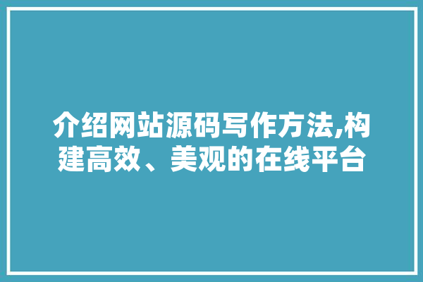 介绍网站源码写作方法,构建高效、美观的在线平台 计算机