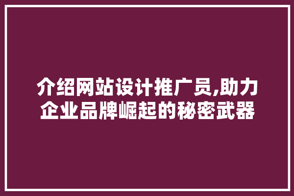 介绍网站设计推广员,助力企业品牌崛起的秘密武器