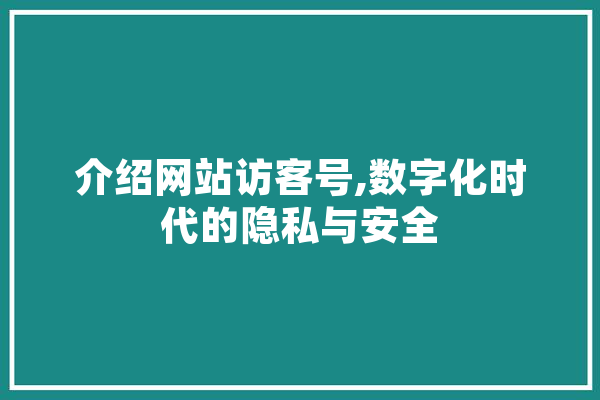 介绍网站访客号,数字化时代的隐私与安全 AI快讯