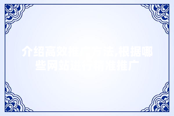 介绍高效推广方法,根据哪些网站进行精准推广 计算机