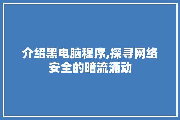 介绍黑电脑程序,探寻网络安全的暗流涌动 AI简讯