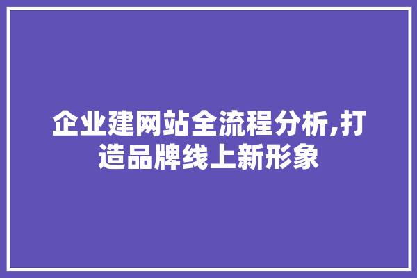 企业建网站全流程分析,打造品牌线上新形象 文字写作