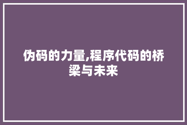 伪码的力量,程序代码的桥梁与未来 绘影字幕