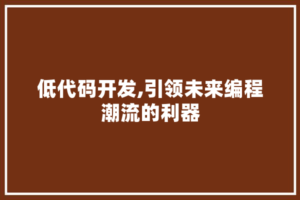 低代码开发,引领未来编程潮流的利器 文字写作