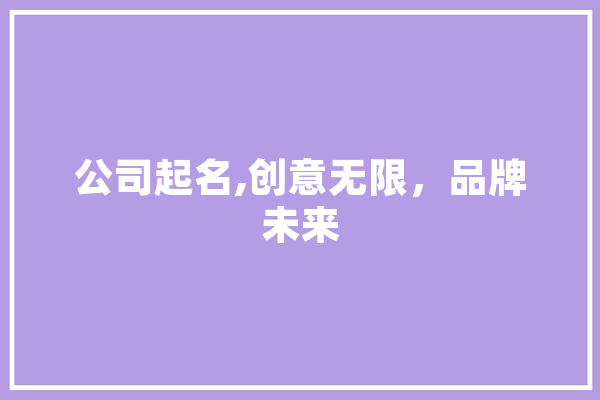 公司起名,创意无限，品牌未来