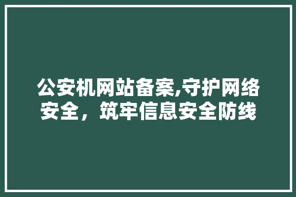 公安机网站备案,守护网络安全，筑牢信息安全防线 文字写作