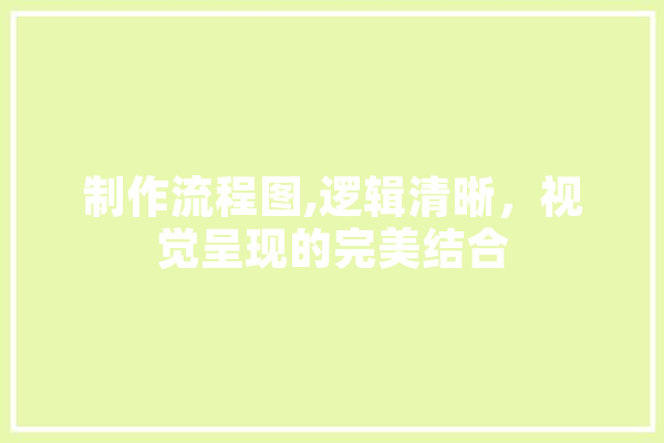 制作流程图,逻辑清晰，视觉呈现的完美结合
