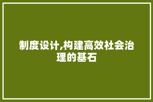 制度设计,构建高效社会治理的基石