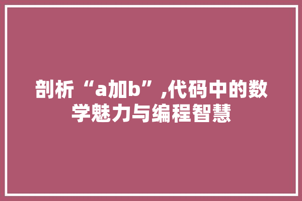 剖析“a加b”,代码中的数学魅力与编程智慧 文字写作