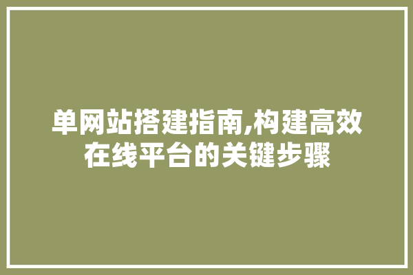 单网站搭建指南,构建高效在线平台的关键步骤 智能写作